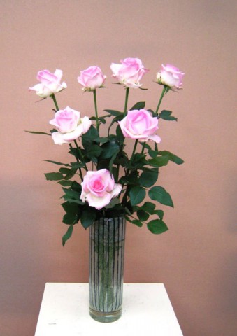 【バラ】フラワーバレンタインにスマートな花贈り「ソルベットアバランチェ」