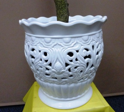 【観葉植物】透かし彫りの器と小葉のガジュマルパンダ02
